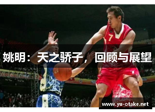 姚明：天之骄子，回顾与展望